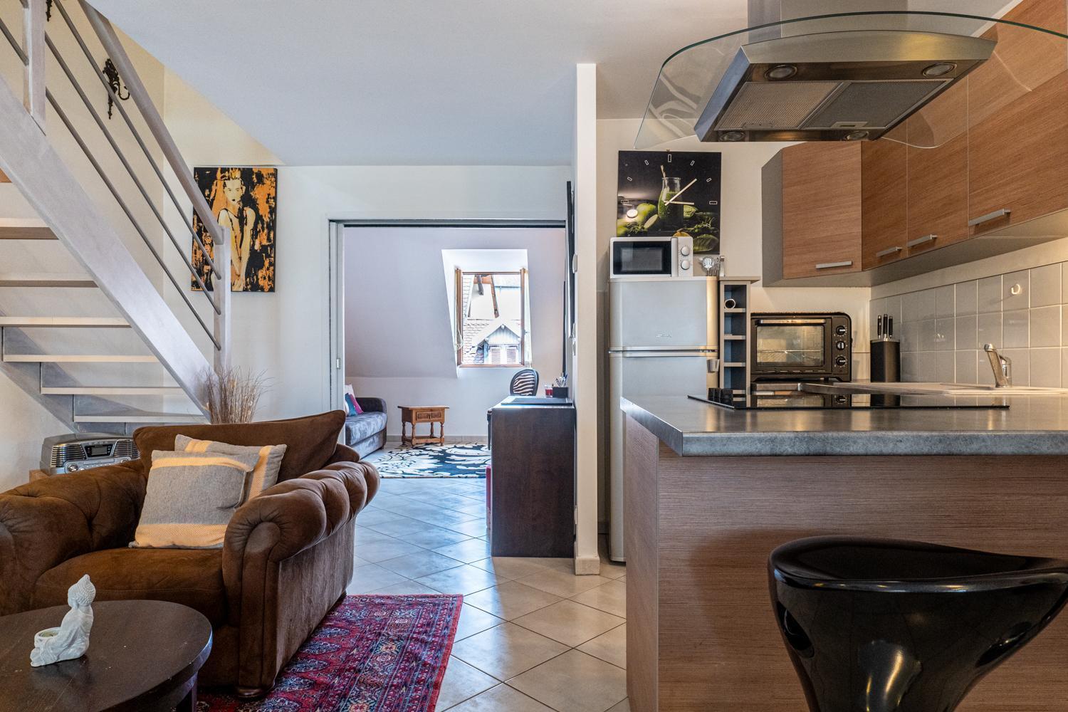 Carnot Duplex, Spacieux 3 Pieces Avec 2 Chambres Sur Les Rue Pietonnes Анси Экстерьер фото